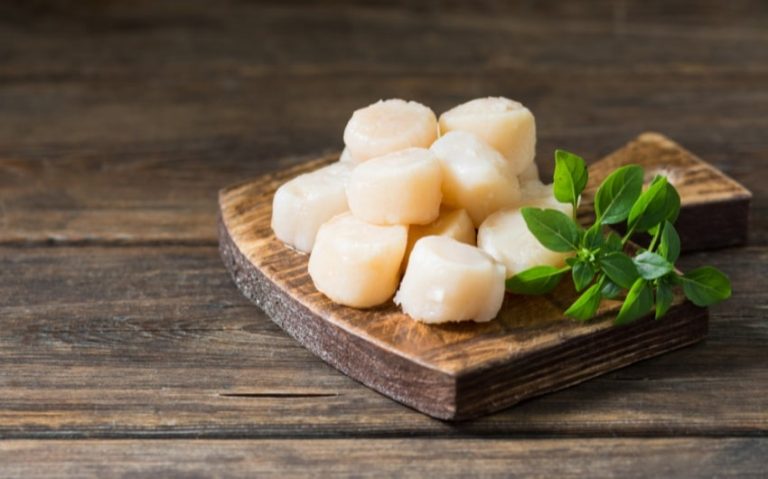 Navigating the Waters: Are Scallops Good for You?